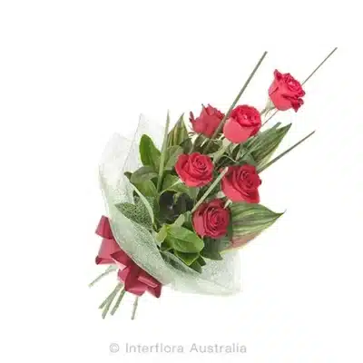 Affection Roses