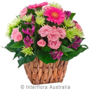 Jazz Mixed Flower Basket