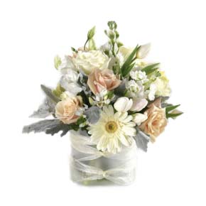 soft and subtle flowers