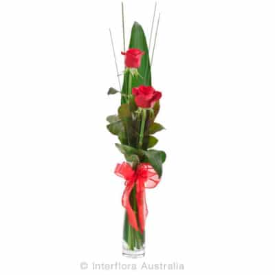 Flirt Red Roses