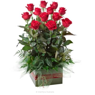 Now and Forever Roses