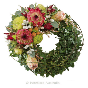 with sorrow australian natives