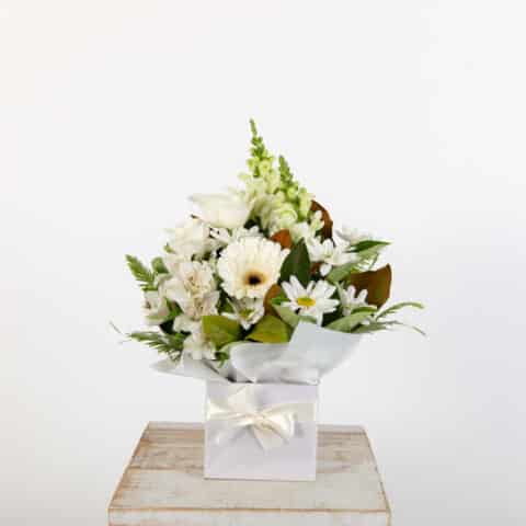 Dreamy Blooms