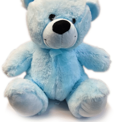 Large Blue Bear with Blue Ribbon